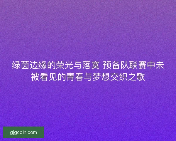 绿茵边缘的荣光与落寞 预备队联赛中未被看见的青春与梦想交织之歌