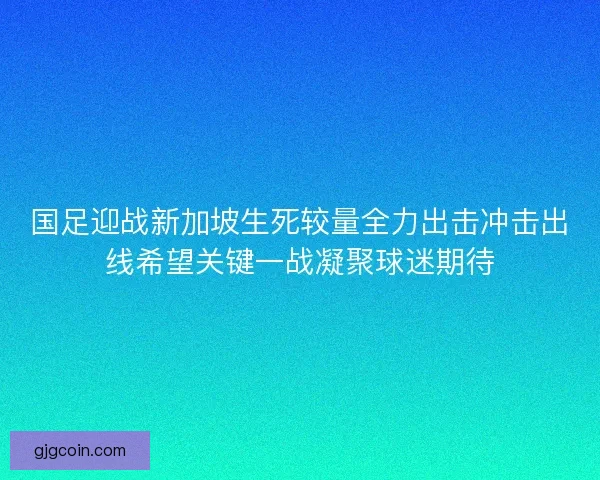 国足迎战新加坡生死较量全力出击冲击出线希望关键一战凝聚球迷期待