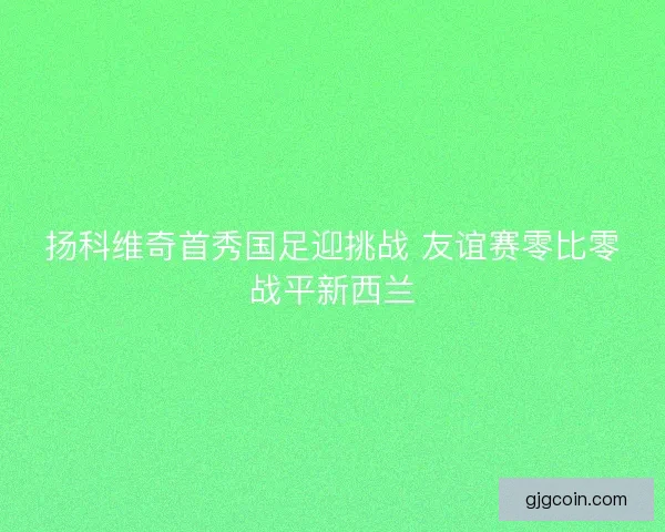 扬科维奇首秀国足迎挑战 友谊赛零比零战平新西兰 扬科维奇首秀国足迎挑战 友谊赛零比零战平新西兰